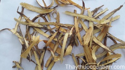 H&igrave;nh ảnh vị thuốc cam thảo